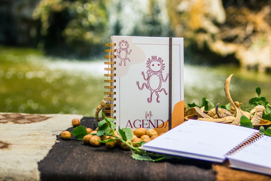 Agenda valle de lasana 1