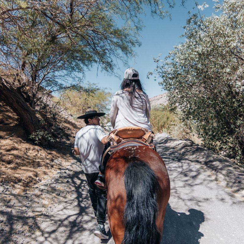 Cabalgata valle de lasana 1