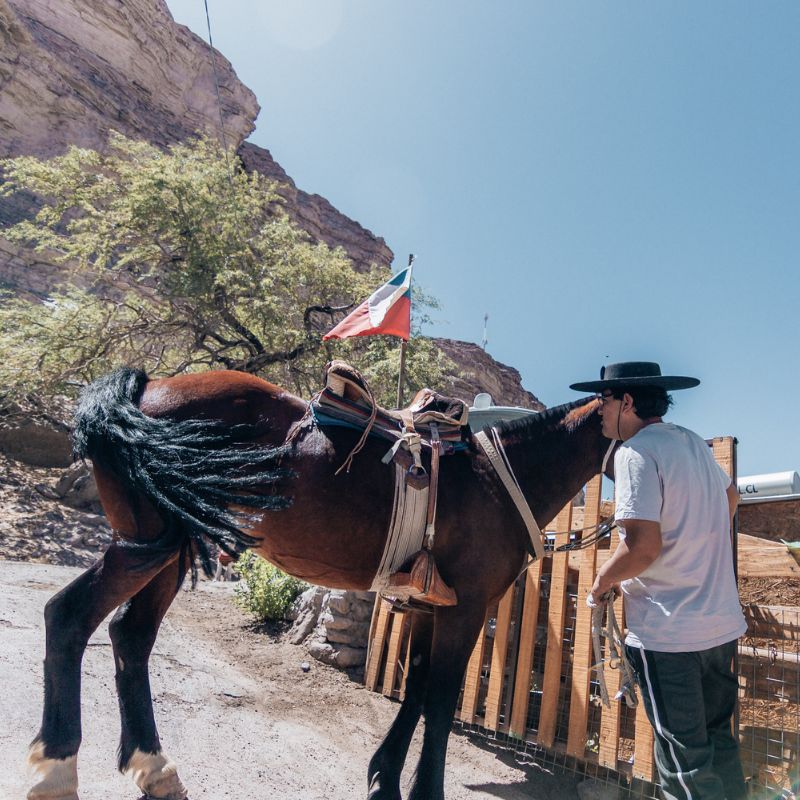 Cabalgata valle de lasana 4