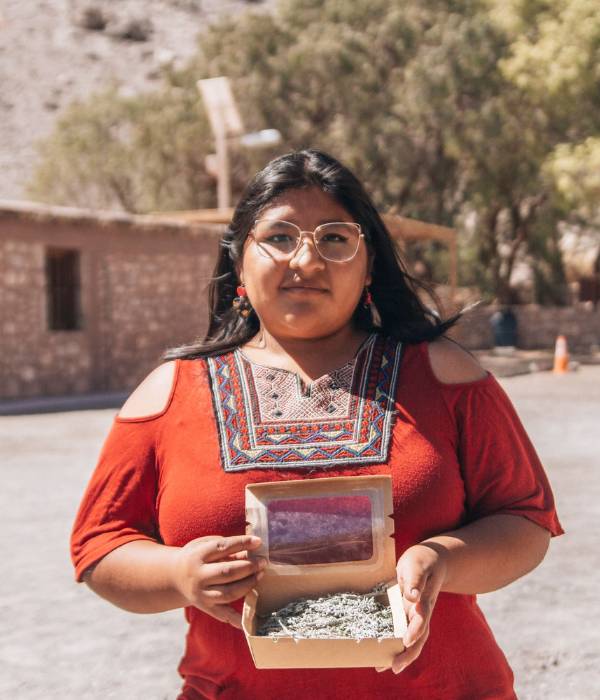 Zenobia soledad perez perez