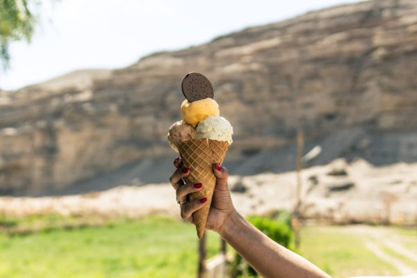 Helados Valle de lasana 2-min