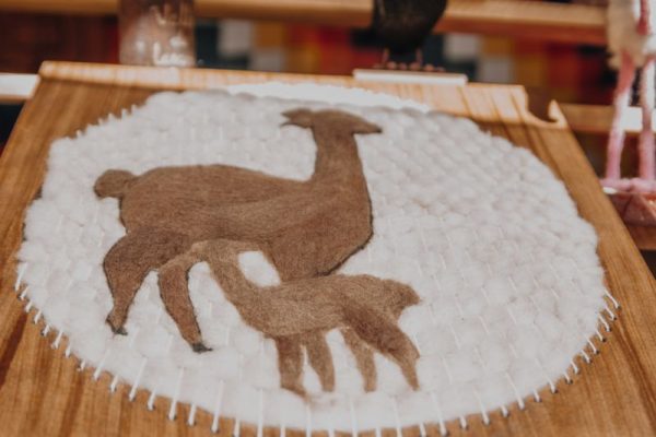 Valle de lasana emprendedores y feria 2